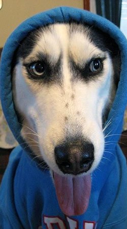 Сергей Калюсецкий | 