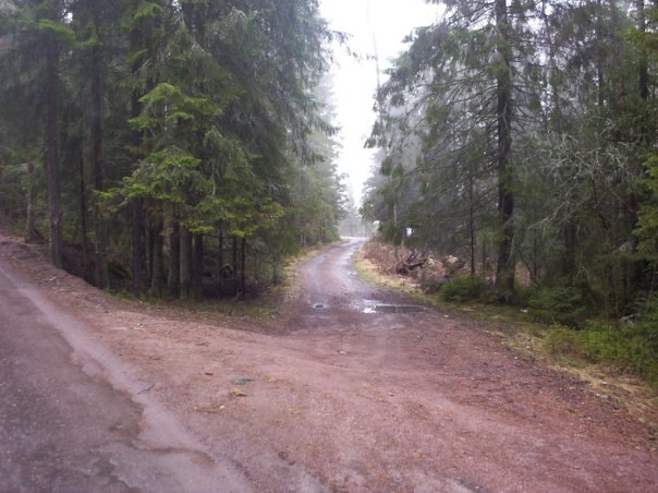 Максим Медяков | Фрязино