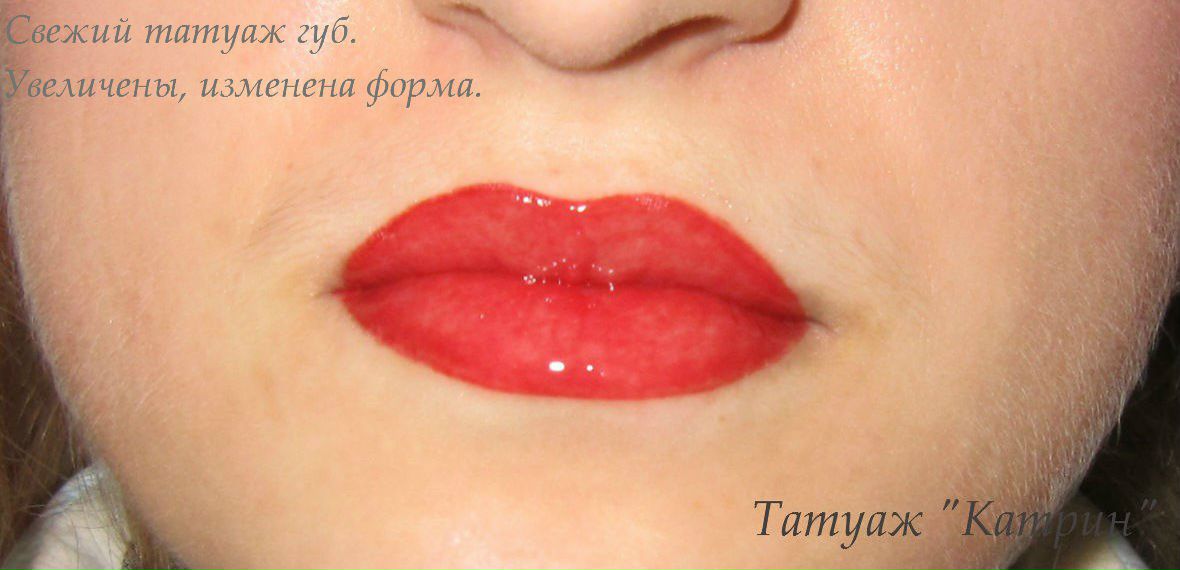 Екатерина Ящерица | Киев