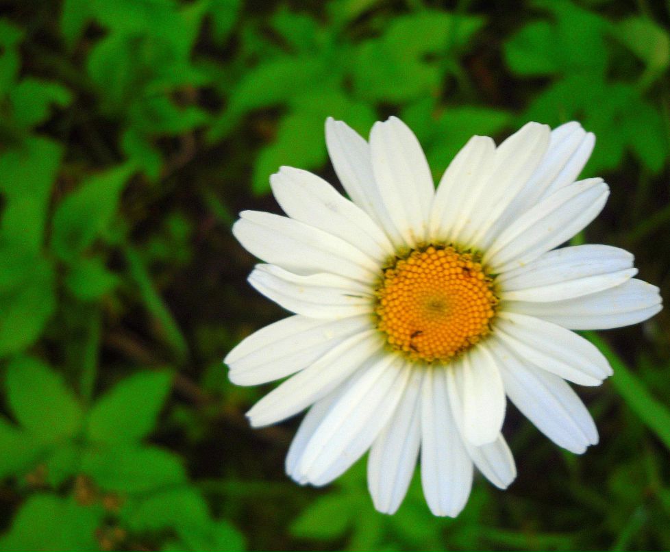 Katterina Smirnova | Санкт-Петербург