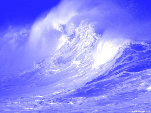 №1, Женичка Сегеневич №1, Женичка Сегеневич