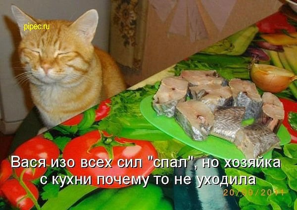 Маргарита Брель | Санкт-Петербург