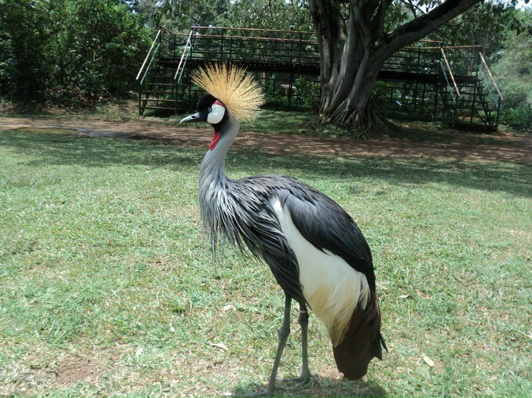 Сергей Дидух | Броды