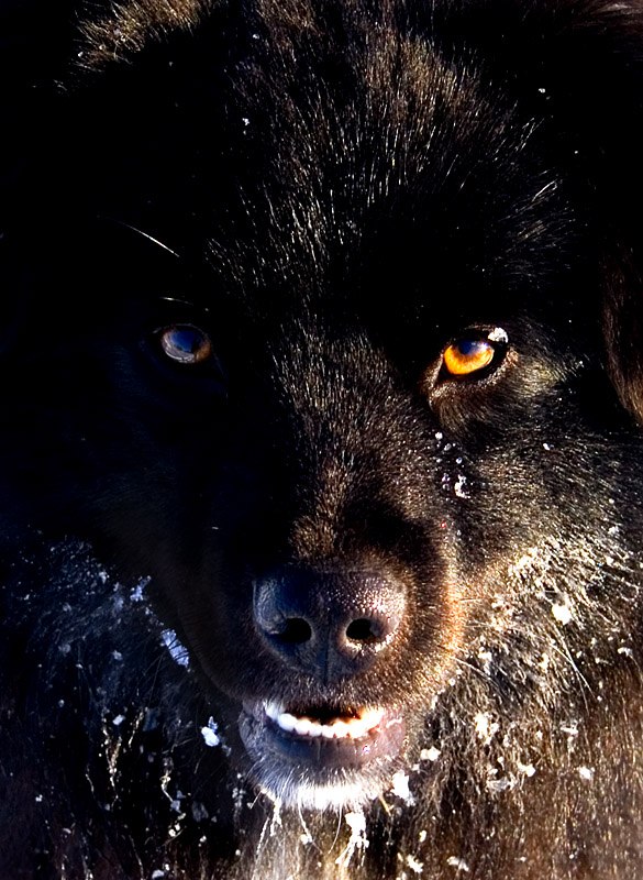 Игорь Бойченко | Киев