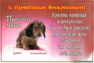 Фотография Юлия Цыганкова