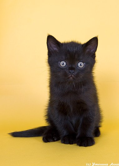 Христина Драганчук | Тернополь