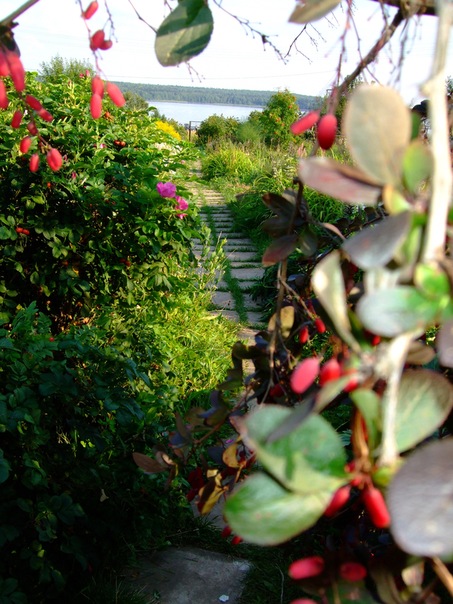 №117, Алена Пручковская, 36 лет, Пермь №117, Алена Пручковская, 36 лет, Пермь