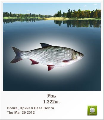 Евгений Витькин | 