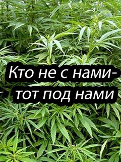 Виктор Якушев | Москва