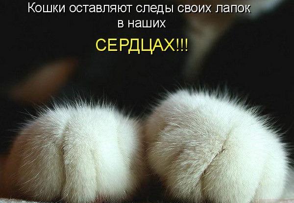 Марианна Моисеева | Саратов