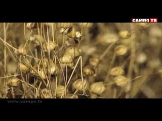 Культурная жизнь. Клип “Карелия“. Строк и Пянтина.