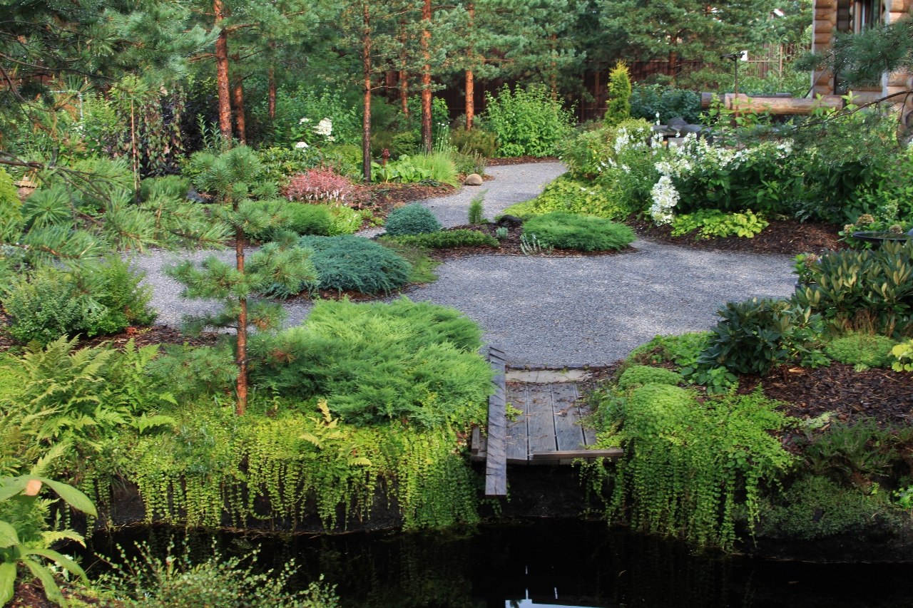 Сад константина коржавина санкт петербург Сад константина коржавина санкт петербург