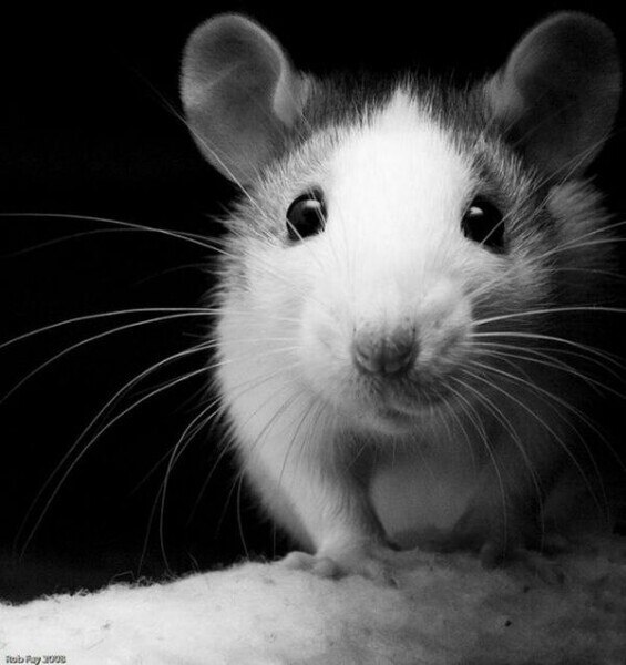 Юлия Симакина | Евпатория