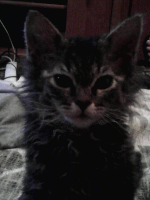 Натали Егорова | Самара