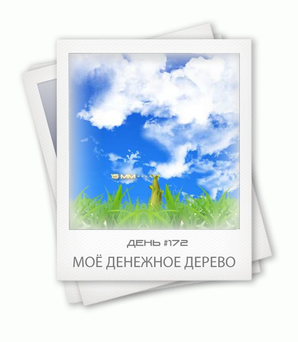 Ольга Винникова | Калининград
