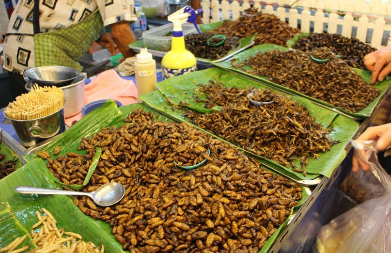 Станислав Попов | Санкт-Петербург