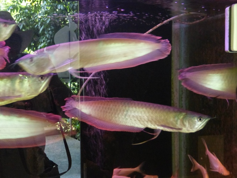 Иван Горбачёв | Москва