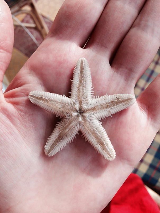 Наталья Волова | Ростов-на-Дону