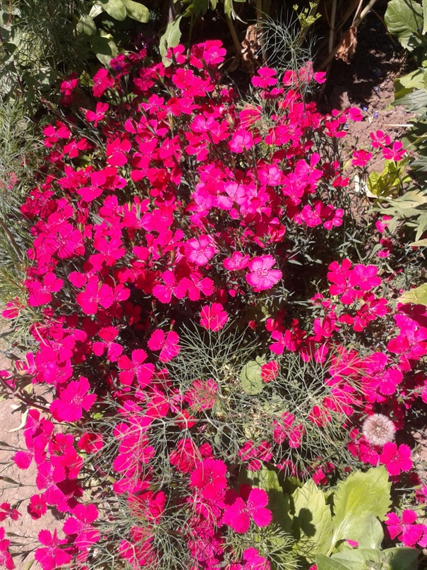 Ирина Рудакова | Орск