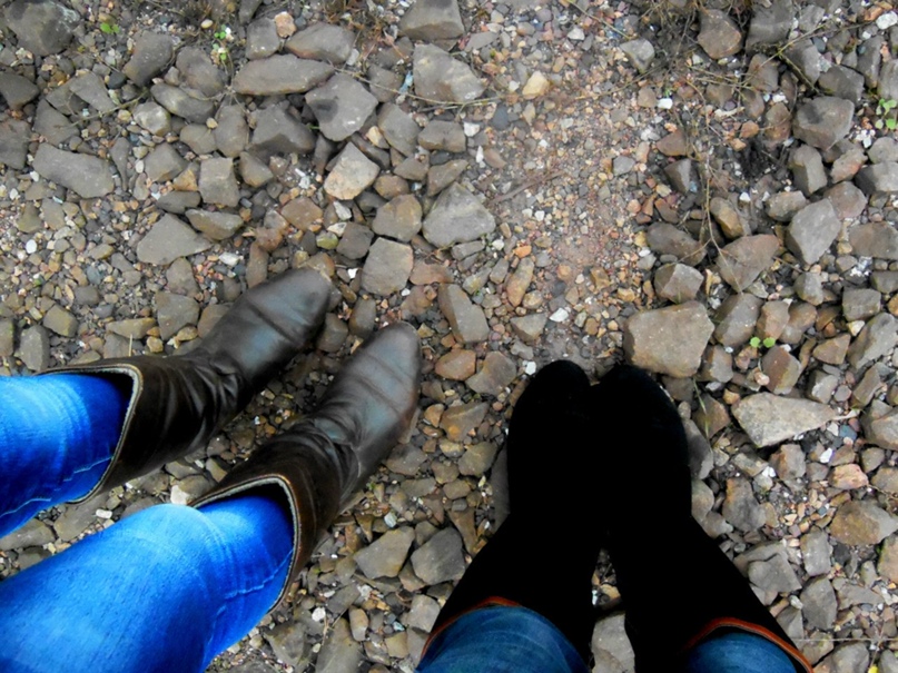 Дарья Рождественская |