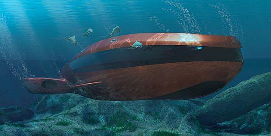 Александр Цыганков | Москва