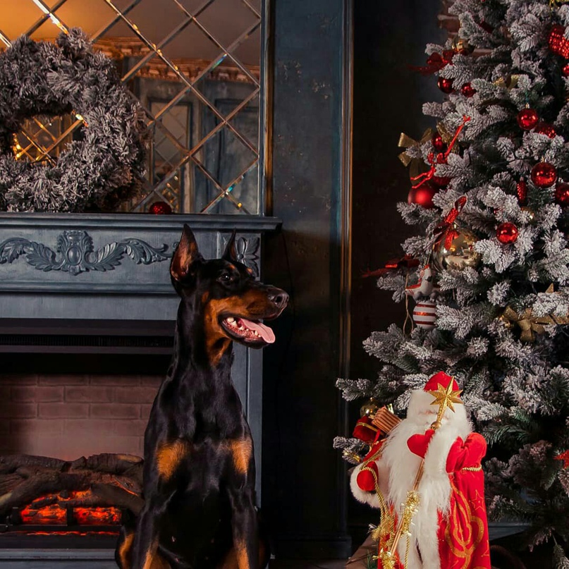 Екатерина Антропова | Уфа