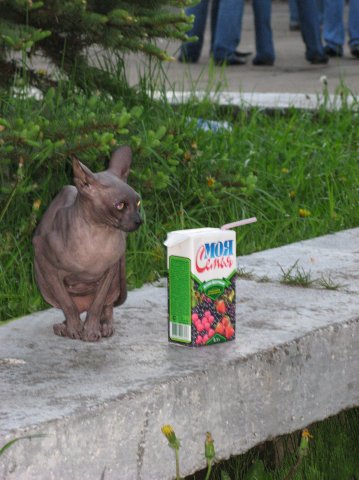 Кирилл Качалов | Москва