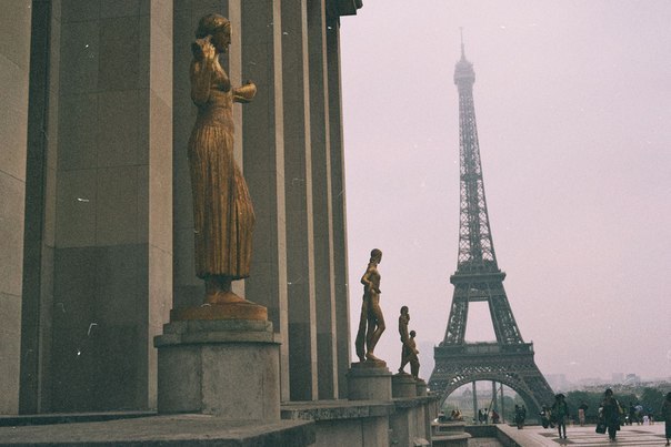 Карина Новикова | Хмельницкий