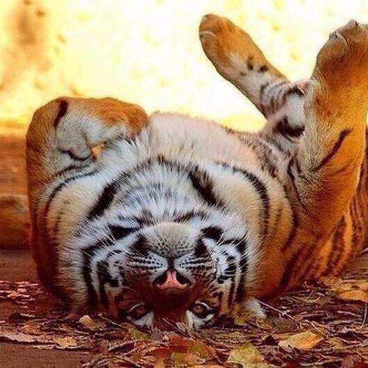 Андрей Титов | Владивосток