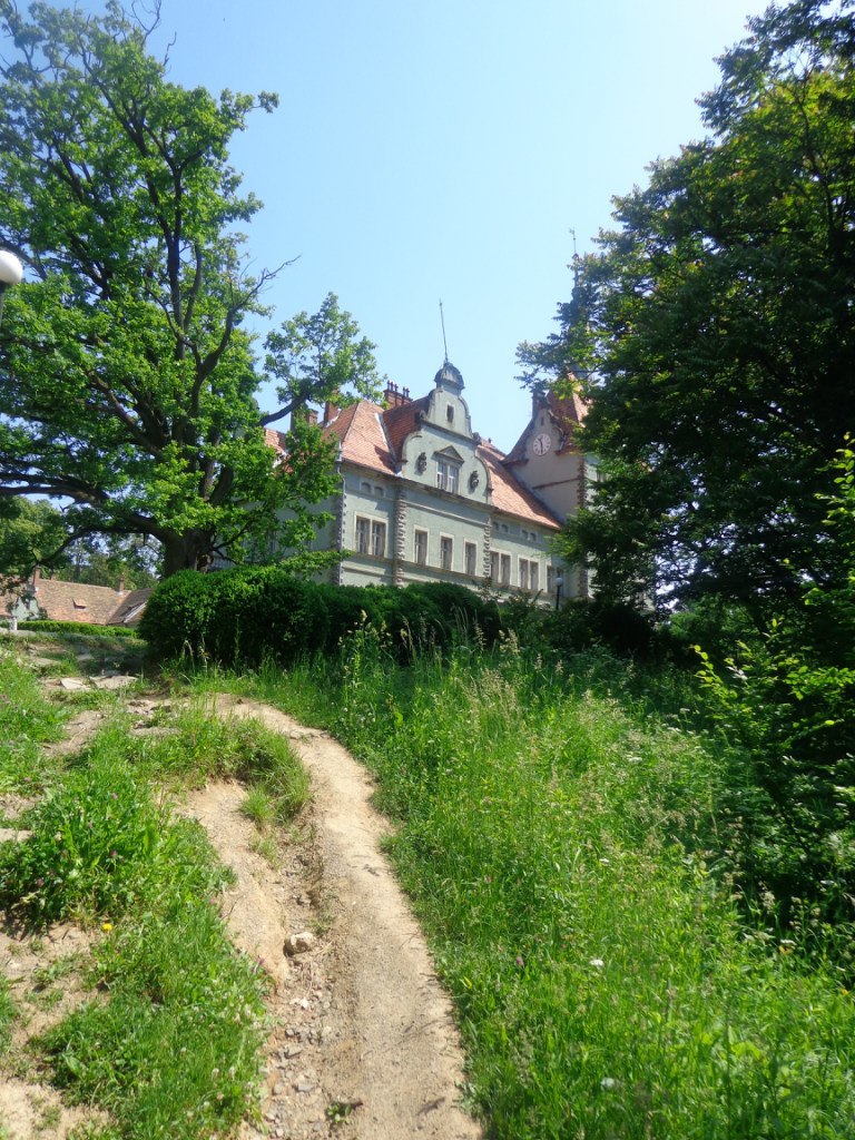 Алексей Ивановский | Староконстантинов