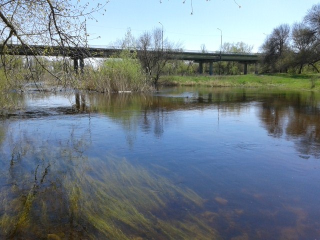 Денис Шарапов | Днепр (Днепропетровск)