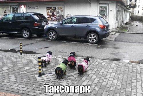 Андрей Гавриков | Старобельск