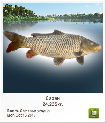 Александр Трефилов | Тольятти