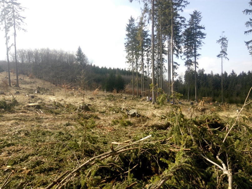 Артем Басов | Кривой Рог