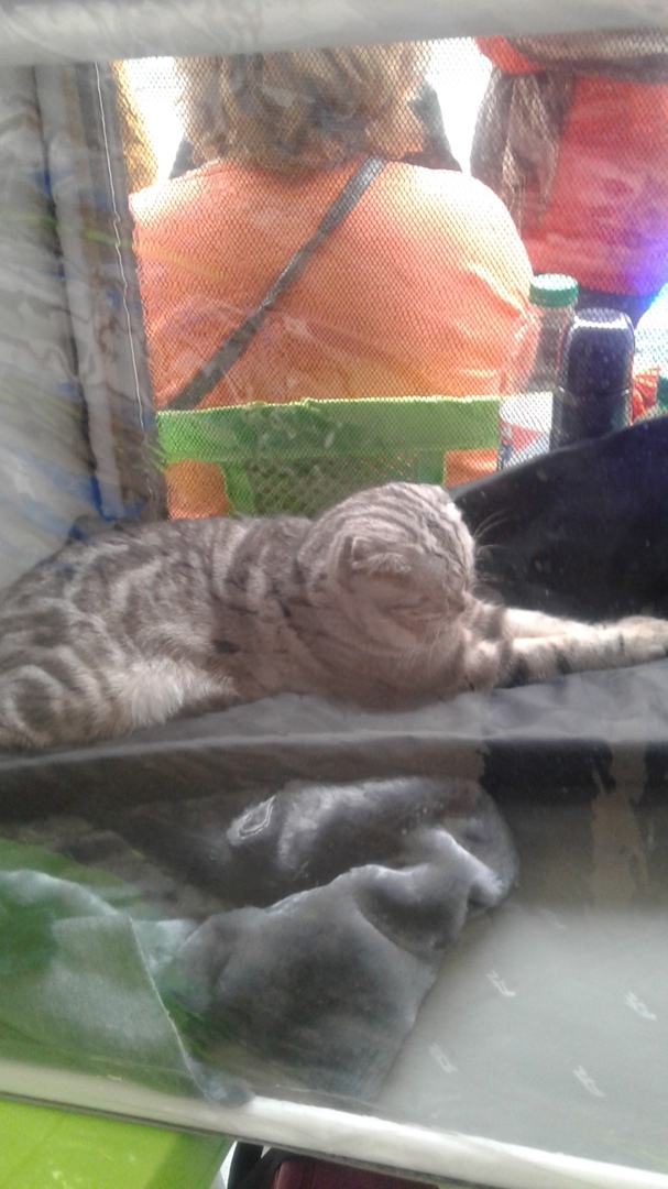 Дмитрий Коровкин | Ижевск