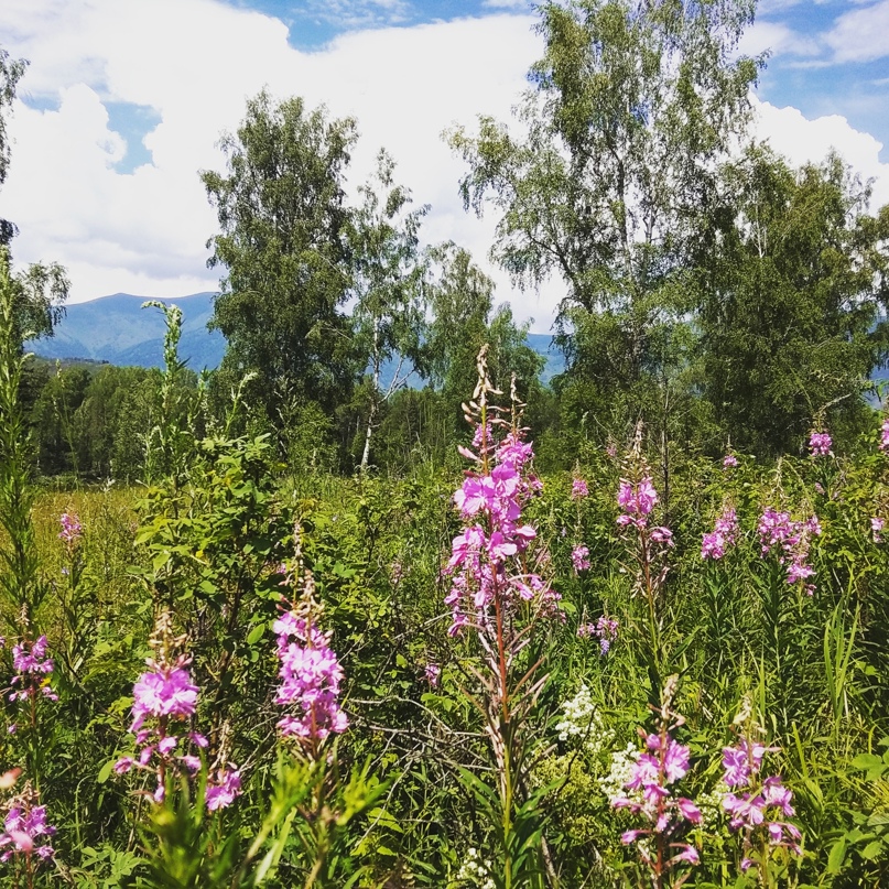 Виктория Медведева | Барнаул