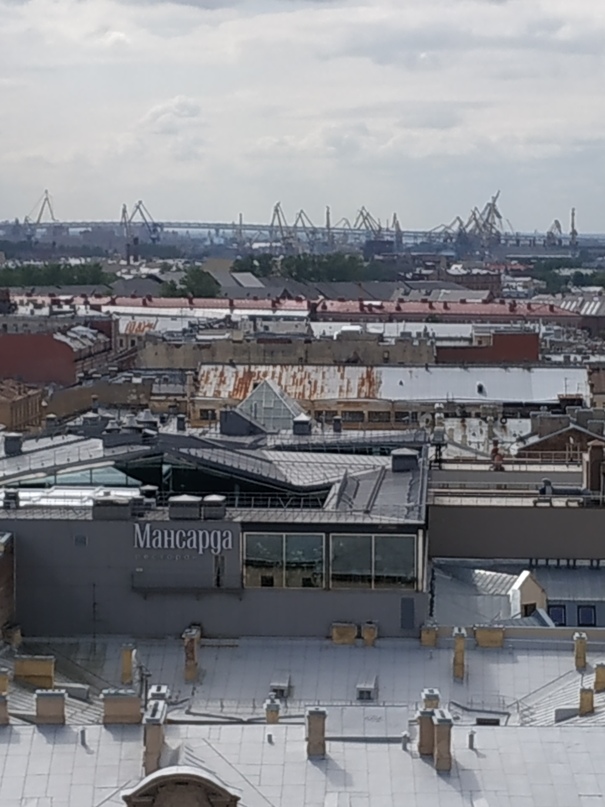 Елена Попова | Санкт-Петербург