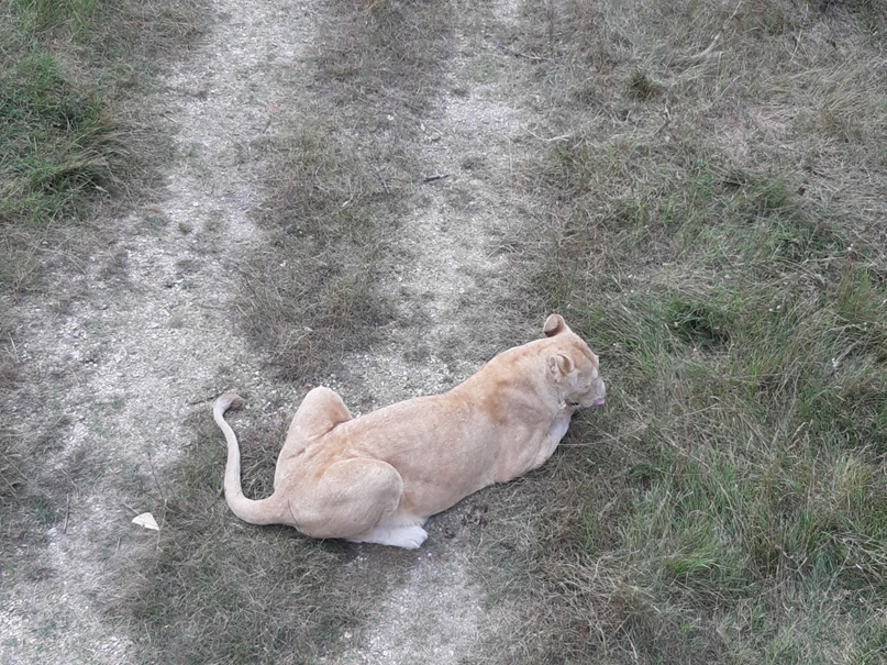 Анастасия Власова | Мурманск