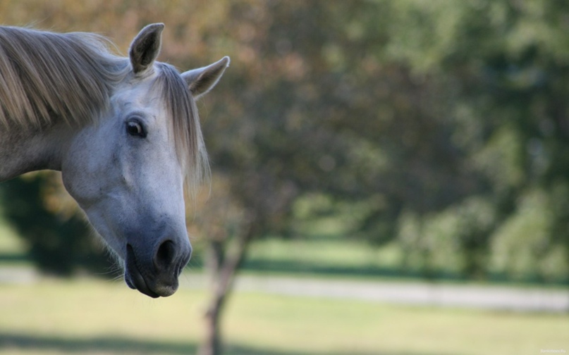 Татьяна *** | Киев