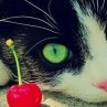 Максим Свистунов | Витебск