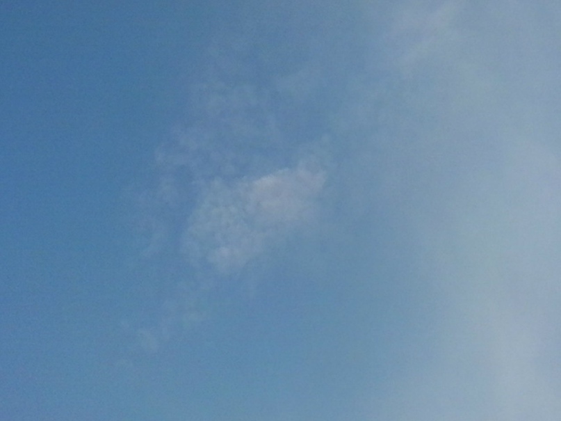 Лена Курбатова | Сарафаново