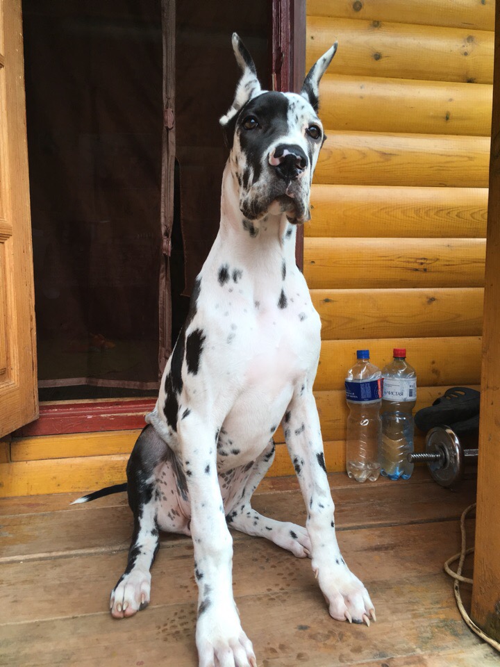 Наталья Темникова | Ижевск