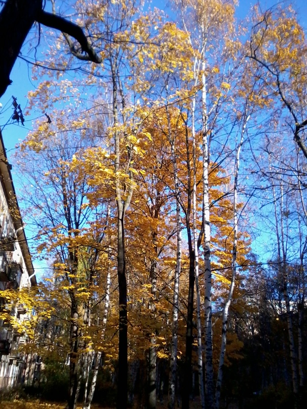 Анна Жидкова | Москва