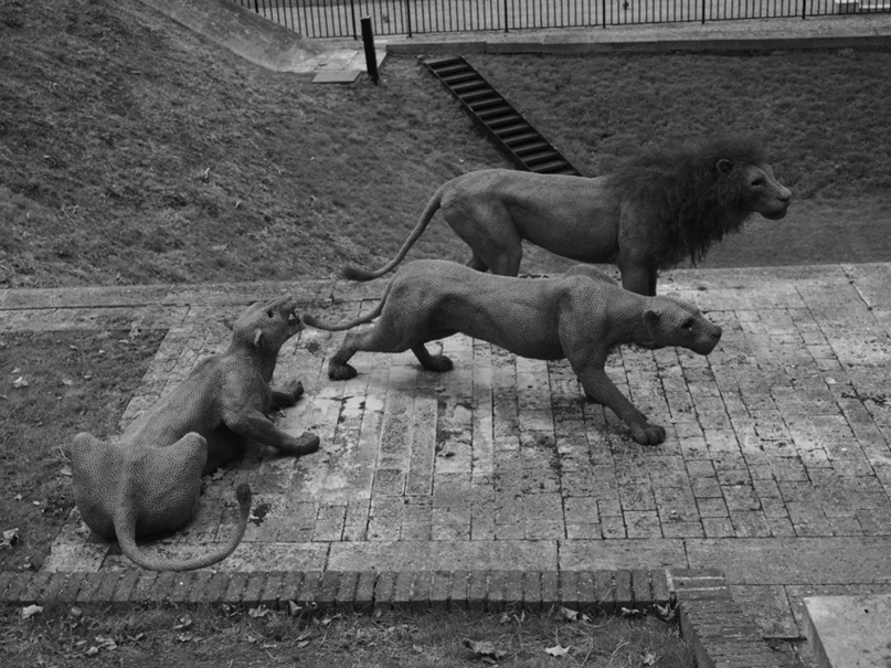 Мария Сарычева | Уфа