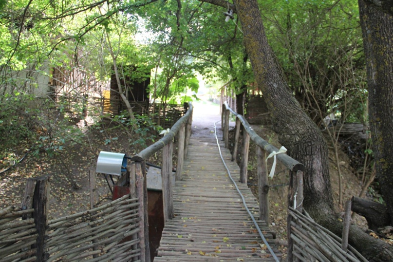 Алла Власенко | Днепр (Днепропетровск)