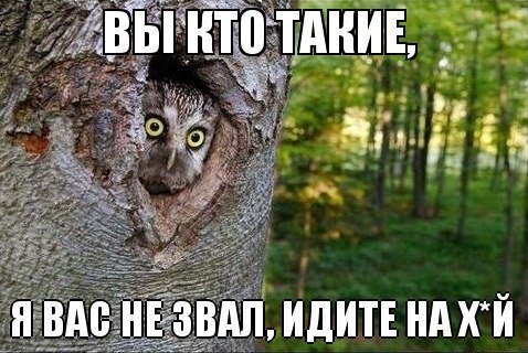 Игорь Павловский |