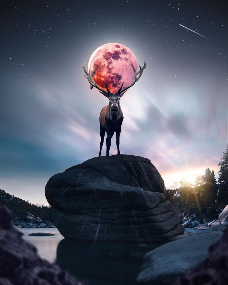 Доброй ночи картинки красивые необычные. Спокойной ночи необычные оригинальные. Спокойной ночи креативно. Спокойной ночи дизайнерские. Спокойной ночи картинки необычные. Доброй ночи картинки красивые необычные. Спокойной ночи необычные оригинальные. Спокойной ночи креативно. Спокойной ночи дизайнерские. Спокойной ночи картинки необычные.