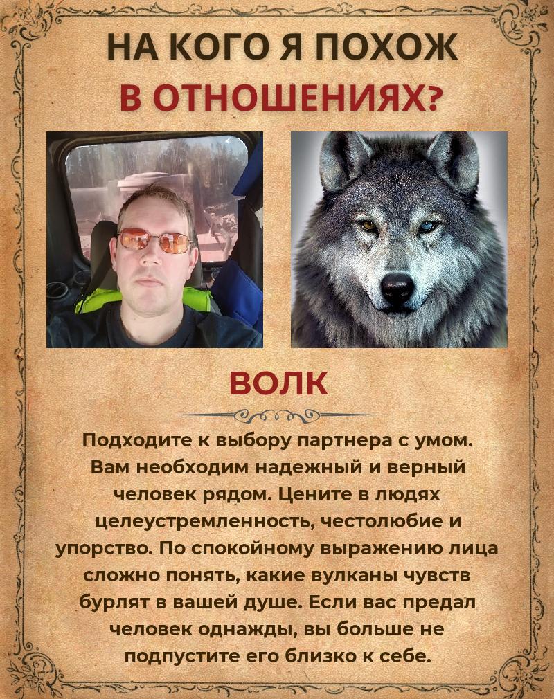 Константин Богданов | Выборг