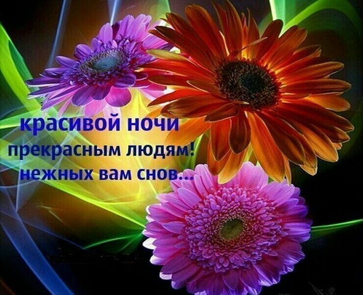 Пин от пользователя Ирина Акшанова на доске Пожелания... Ночь, Праздничные откры