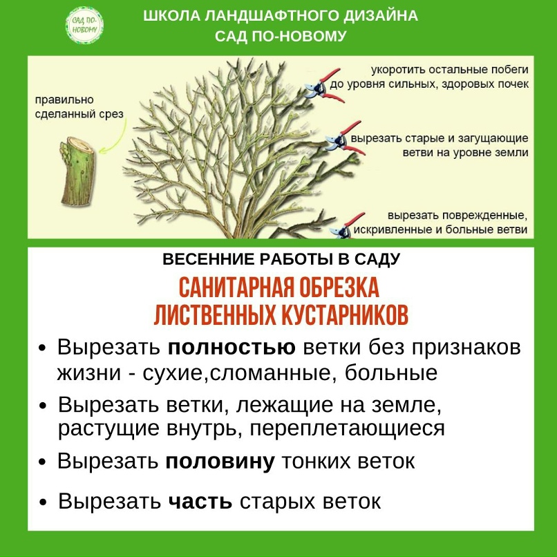 Татьяна Грачева | Ливны